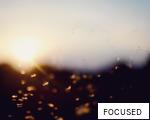 FOCUSED anagram