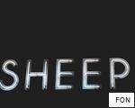FON anagram