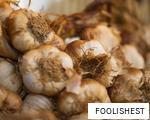 FOOLISHEST anagram