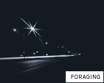 FORAGING anagram