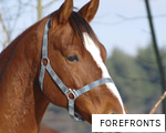 FOREFRONTS anagram
