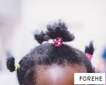 FOREHE anagram