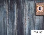 FORINT anagram