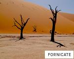 FORNICATE anagram