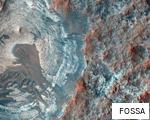FOSSA anagram