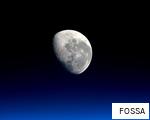 FOSSA anagram