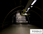 FOSSILS anagram