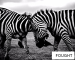 FOUGHT anagram