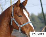 FOUNDER anagram