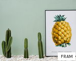 FRAM anagram
