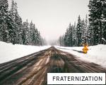FRATERNIZATION anagram