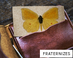 FRATERNIZES anagram