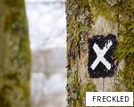 FRECKLED anagram