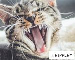 FRIPPERY anagram