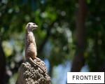 FRONTIER anagram