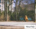 FRUITED anagram