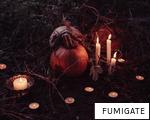 FUMIGATE anagram