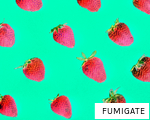 FUMIGATE anagram