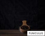 FUNICULUS anagram
