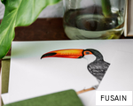 FUSAIN anagram
