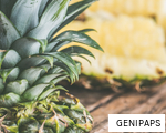 GENIPAPS anagram