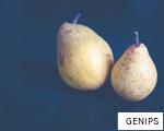 GENIPS anagram