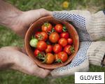GLOVES anagram