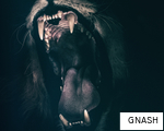 GNASH anagram