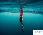 GOBY anagram