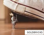GOLDBRICKS anagram