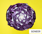 GONEER anagram