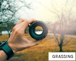 GRASSING anagram