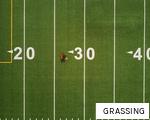 GRASSING anagram