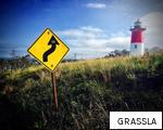 GRASSLA anagram