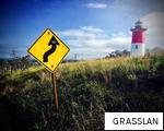 GRASSLAN anagram