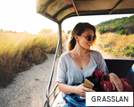 GRASSLAN anagram