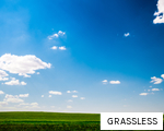 GRASSLESS anagram