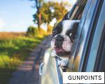 GUNPOINTS anagram