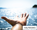 HALFBEAKS anagram