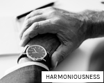 HARMONIOUSNESS anagram