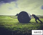 HAYED anagram