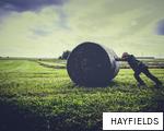 HAYFIELDS anagram