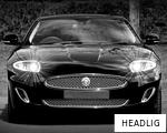 HEADLIG anagram