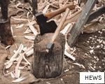 HEWS anagram
