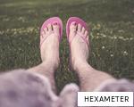 HEXAMETER anagram