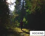 HOCKING anagram
