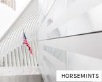 HORSEMINTS anagram