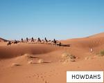 HOWDAHS anagram