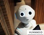 HUMANOID anagram
