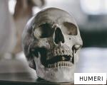 HUMERI anagram